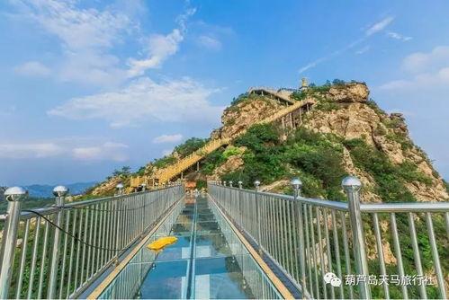 葫芦岛木栈道爆料最新消息,工程进度揭秘,美景即将呈现