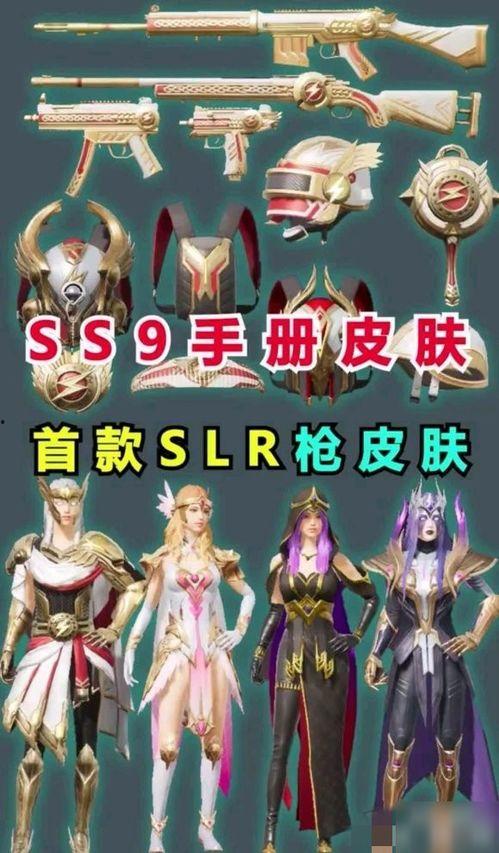 ss9赛季小熊最新爆料,揭秘神秘战术与球员动态!”