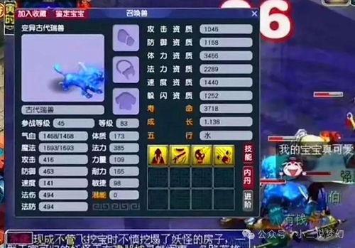 梦幻西游最新小黑屋爆料,揭秘游戏内幕与玩家心声