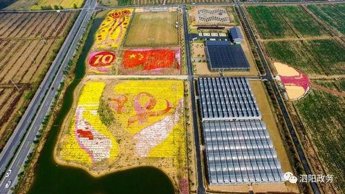 泗阳网红爆料是谁啊最新消息,揭秘神秘事件真相!”